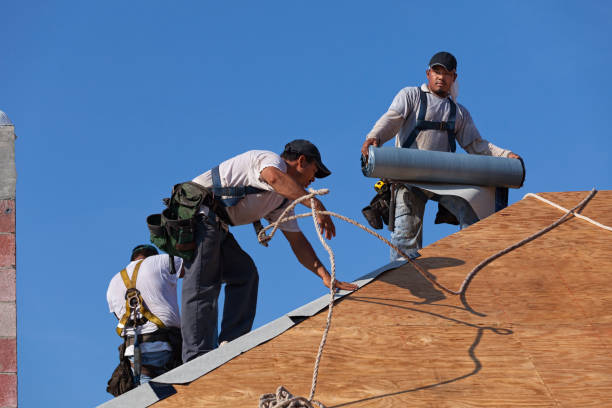 Best Gutter Installation and Roofing  in Lake Junaluska, NC