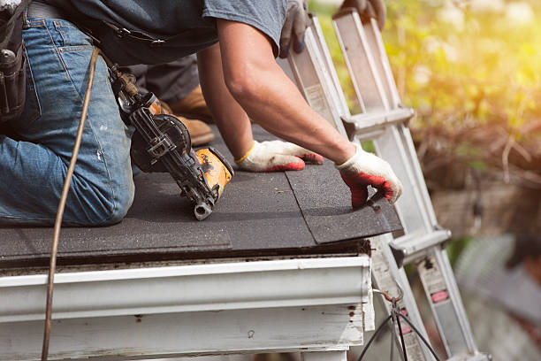Best Roof Gutter Cleaning  in Lake Junaluska, NC